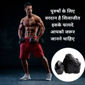 पुरुषों के लिए वरदान है शिलाजीत इसके फायदे आपको जरूर जानने चाहिए Shilajit Benefits for men