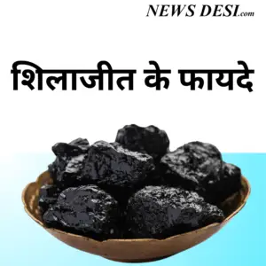 शिलाजीत के फायदे Shilajit Ke Fayde Shilajit Benefits